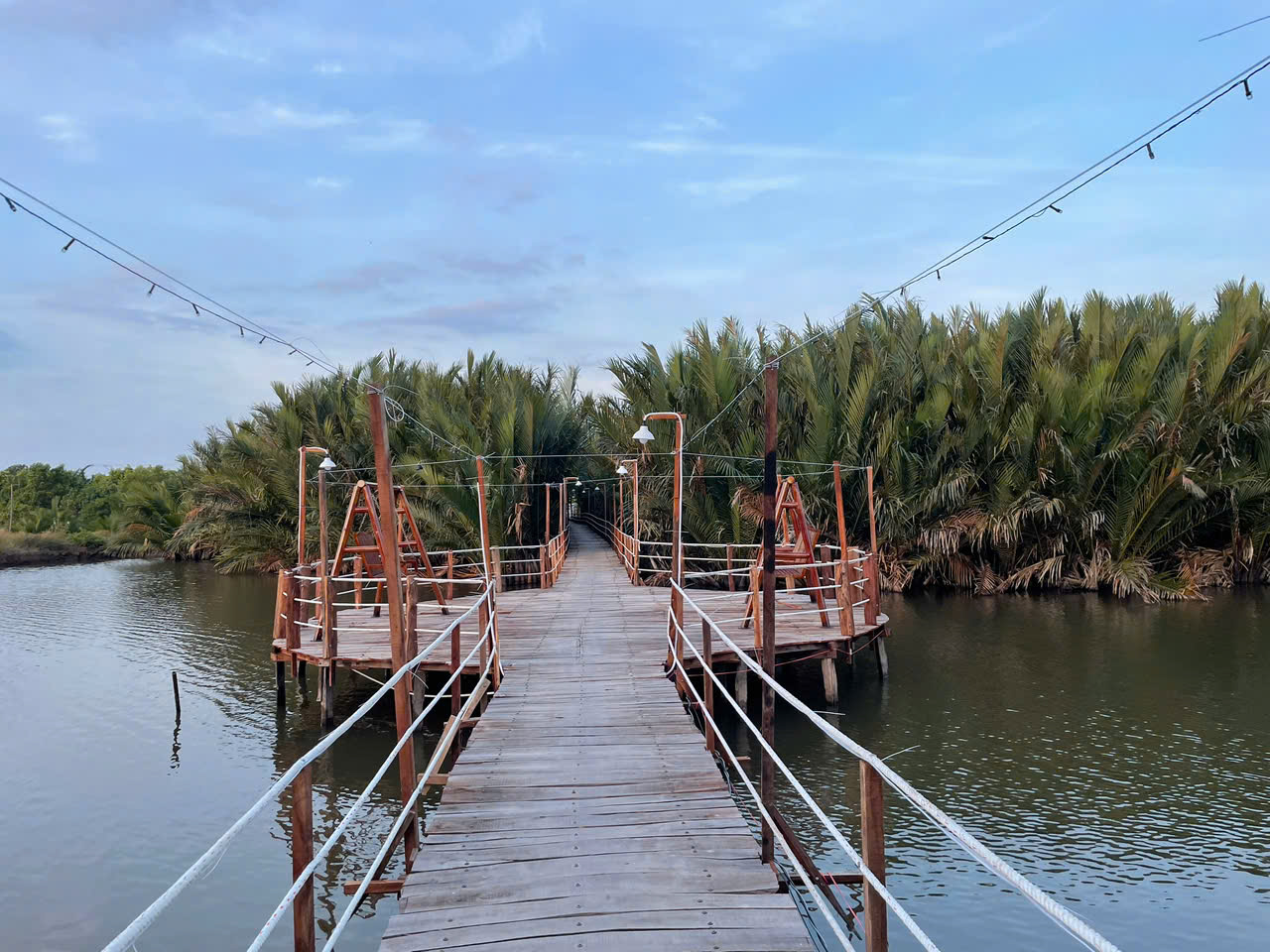 Cầu gỗ xuyên qua hàng dừa nước